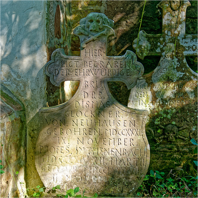 Remains of Tennenbach Abbey  31