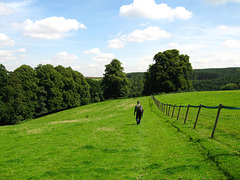 Path towards Bretby Mill running parallel to Watery Lane