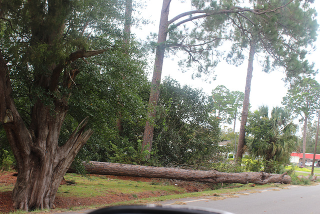 Hurricane Irma..  2017