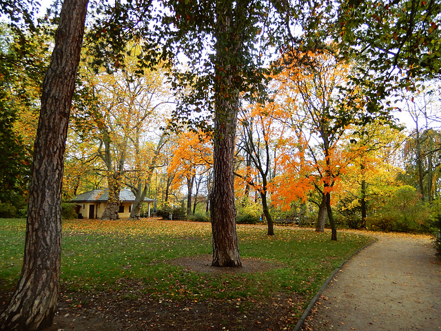 Beutlerpark in Dresden (9)