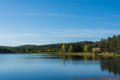 am Nyborgstjärnen in Arvidsjaur (© Buelipix)