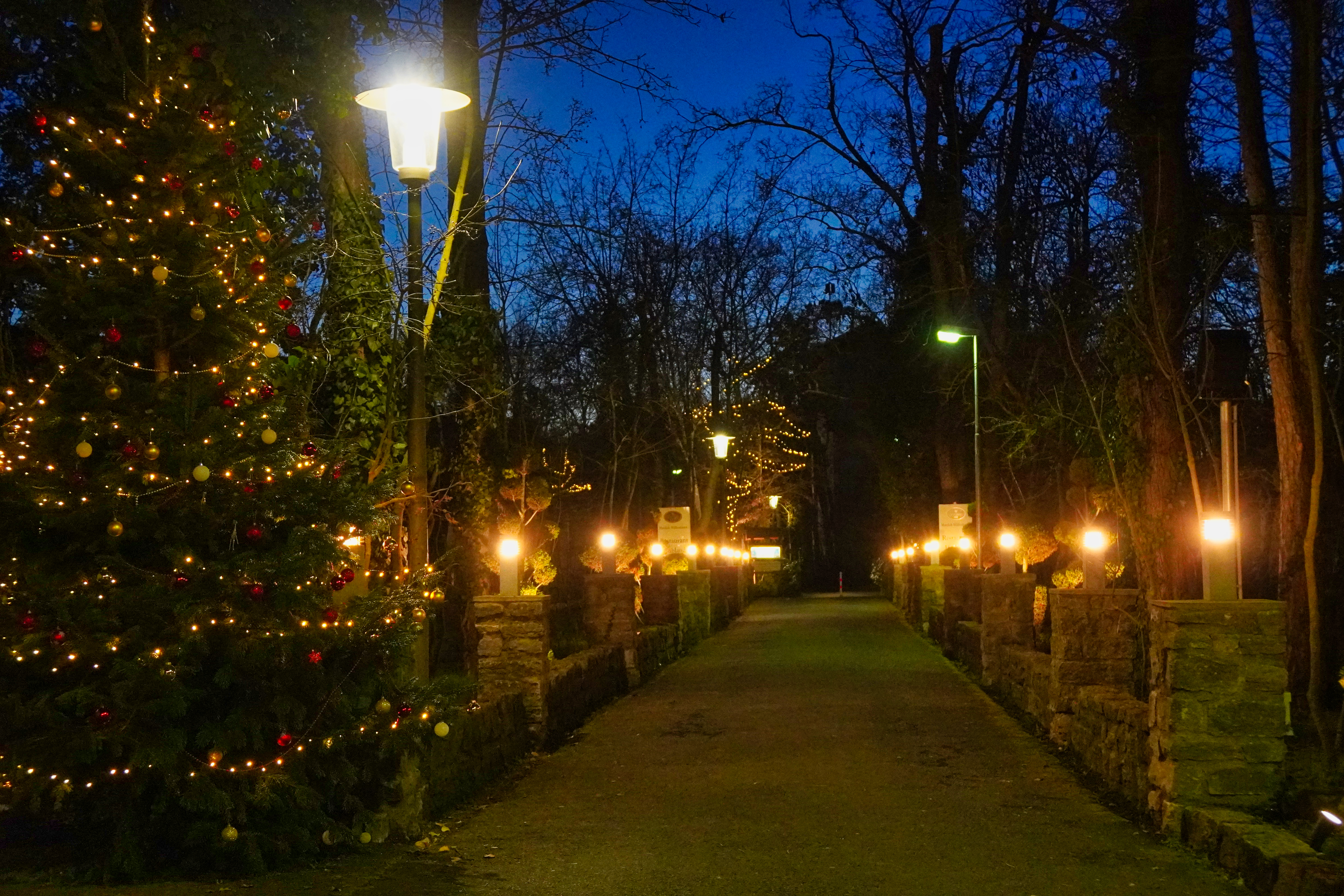 Weihnachtliche Blaue Stunde  - Christmas Blue Hour