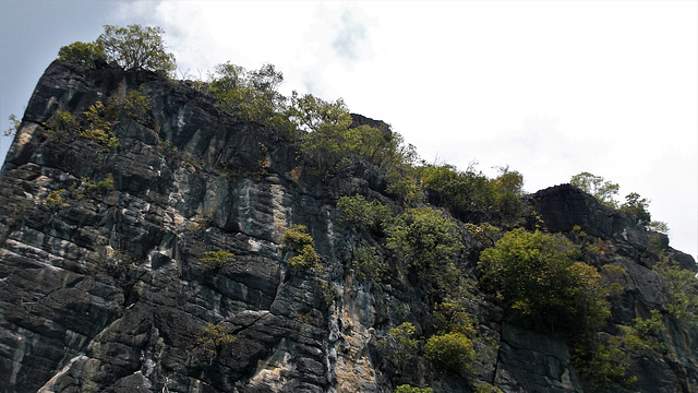 Merveille thaïlandaise / Thai wonderland