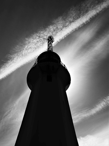 Monochrome 24