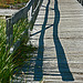 Footbridge Over Lake Glensevern Drainage