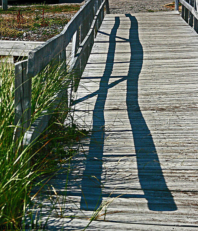 Footbridge Over Lake Glensevern Drainage
