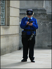 civil enforcement officer