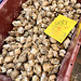 Whelks