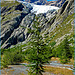 Vallouise : Pré de madame Carle -  Park National des Ecrins : le Glacier Blanc