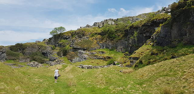 Old Quarry