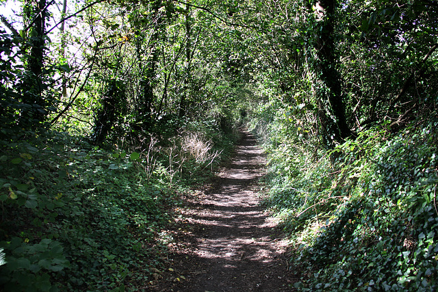 Country walk