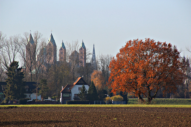 Davor - Dazwischen - Speyerer Dom