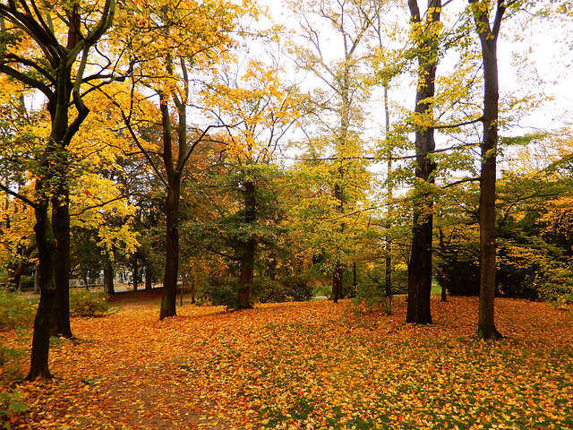 Beutlerpark in Dresden (11)