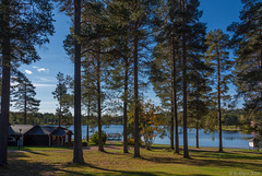 am Nyborgstjärnen in Arvidsjaur (© Buelipix)