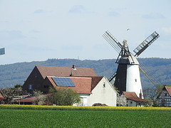 20220420 0538CPw [D~MI] Windmühle, Hundewiese, Hille