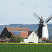 20220420 0538CPw [D~MI] Windmühle, Hundewiese, Hille