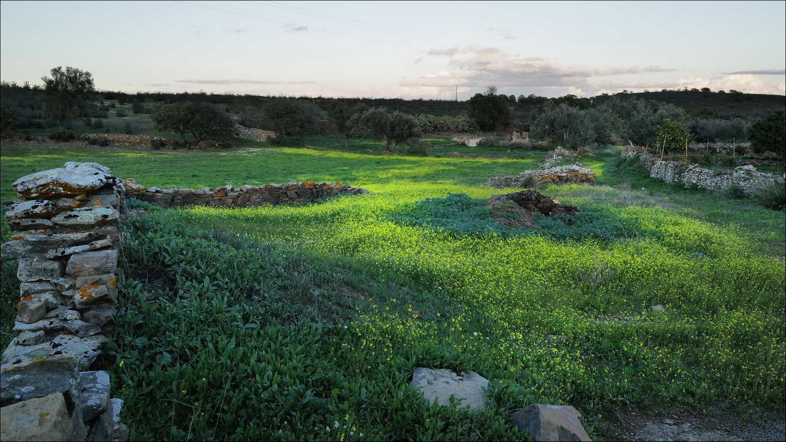 Penedos, Flower season starts