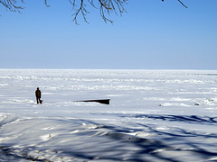 Frozen Lake Huron in Michigan.