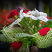 045-365, Happy Valentines Day ♥♥♥♥♥