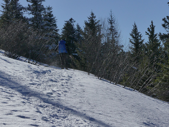 20180113 Raquettes Vercors Moucherotte (40) al