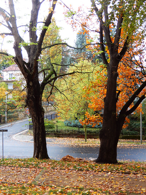 Beutlerpark in Dresden (12)