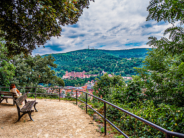 Heidelberg - hFF and hBM (135°)