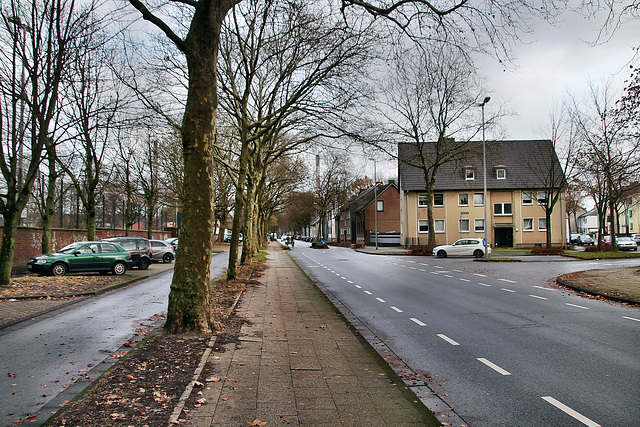 Dorstener Straße (Gladbeck-Zweckel) / 24.12.2022