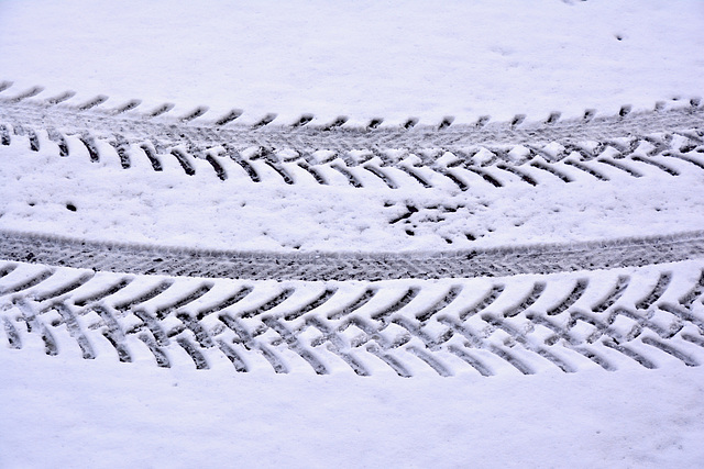 Tracks in the snow