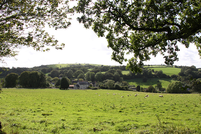 Country walk