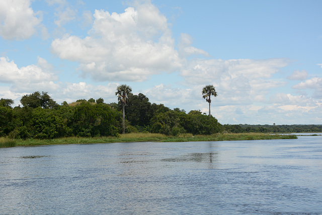 Uganda, The River of Victoria Nile