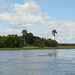 Uganda, The River of Victoria Nile