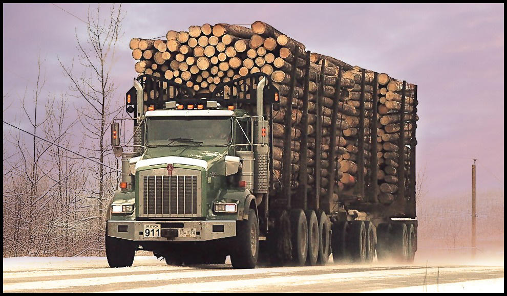 Feeding sawmills and papermills.