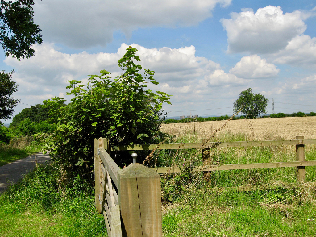 Looking towards the Cooling Towers from near Loscoe Farm