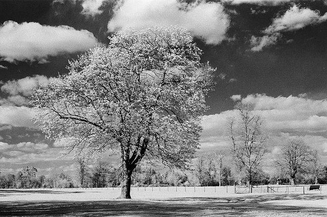 Lamer (infrared)