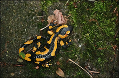 "Hier müsste mal jemand aufräumen!"