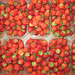 170/365 - Erdbeeren en masse...