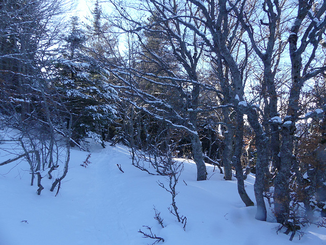 20180113 Raquettes Vercors Moucherotte (42) al