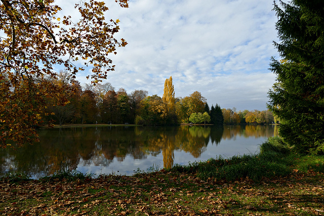 Am Weiher