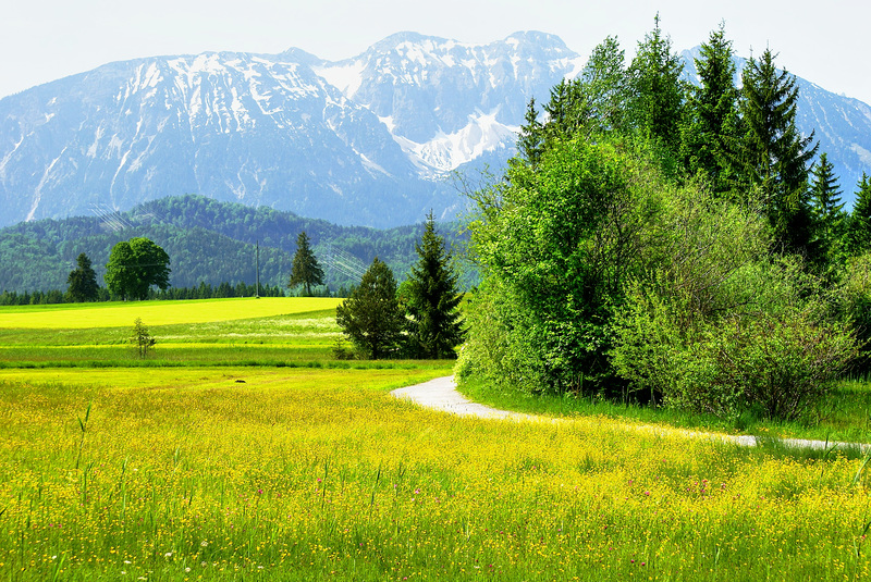 On the Hopfensee circular route... ©UdoSm