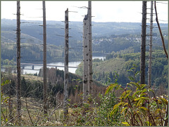 Der Okerstausee mit Altenau