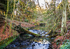 Jesmond Dene (Newcastle Upon Tyne)