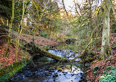Jesmond Dene (Newcastle Upon Tyne)