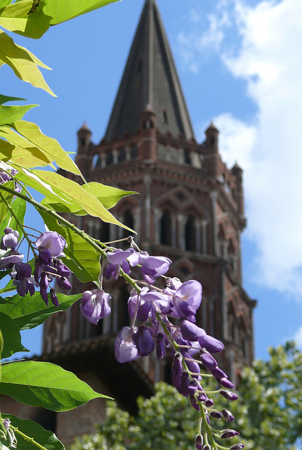 Basilique Saint Sernin