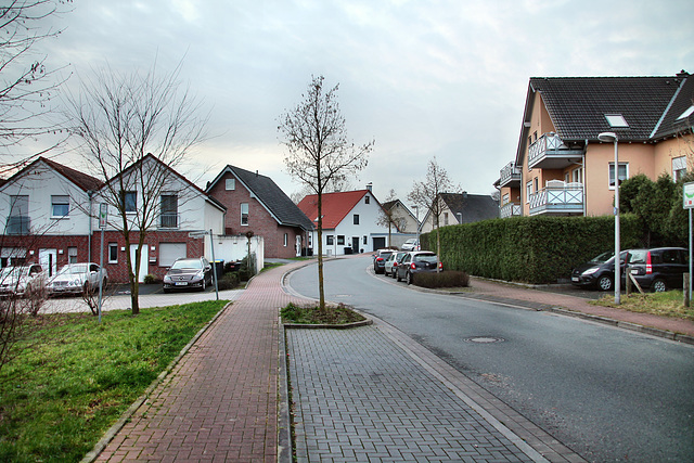 Knappenstraße (Datteln) / 5.01.2018