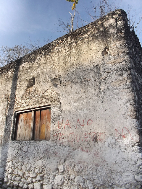 Mots d'amour pour Ano / Wild garden on roof