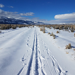 20190218 150244 001 20190218 150244 001