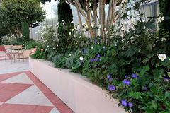 IMG 8379-001-Islamic Garden