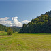 Remains of Tennenbach Abbey  39