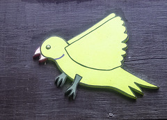 Green Parakeet Green Parakeet