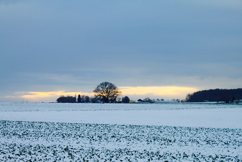 Winter